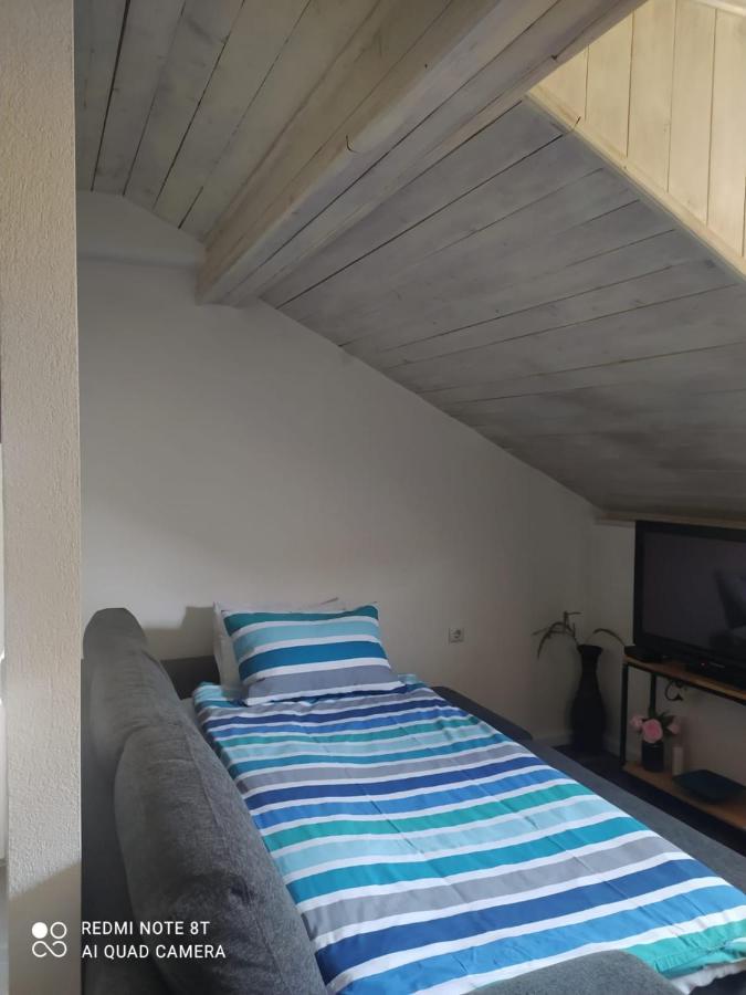 Studio Apartman Gradna Samobor Exteriör bild