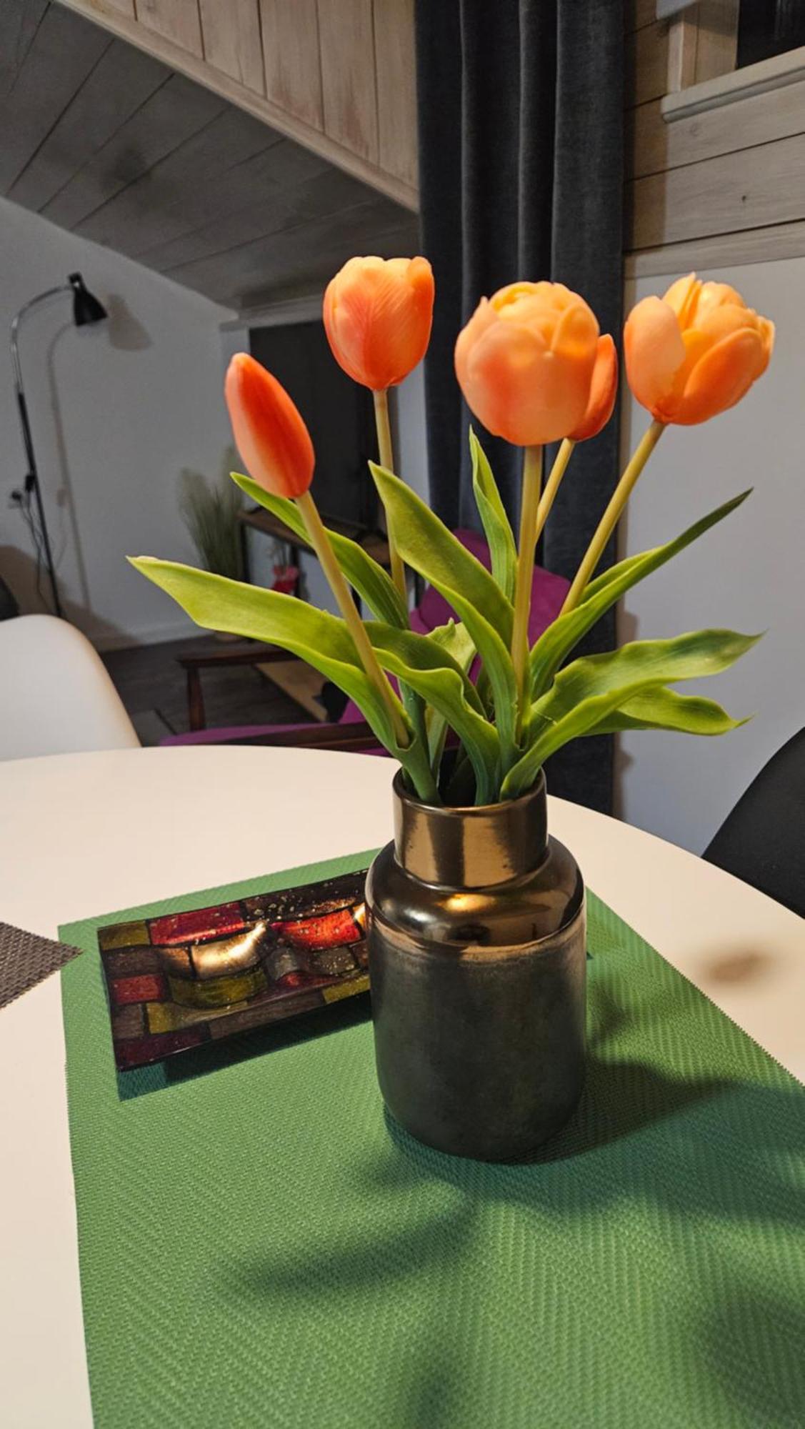 Studio Apartman Gradna Samobor Exteriör bild